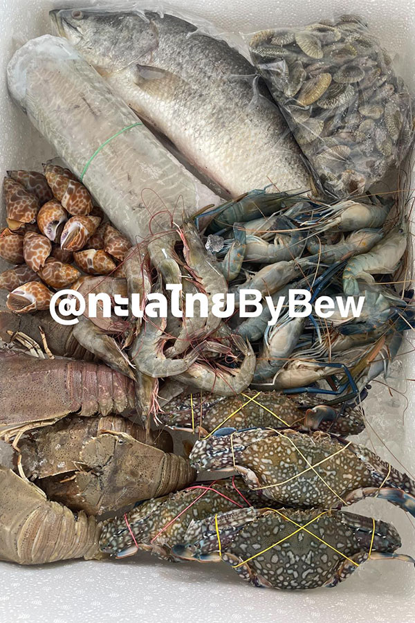 8 ร้านกล่องสุ่มอาหารทะเลแบบจัดเต็ม ได้กินสดๆ ส่งตรงถึงหน้าบ้าน