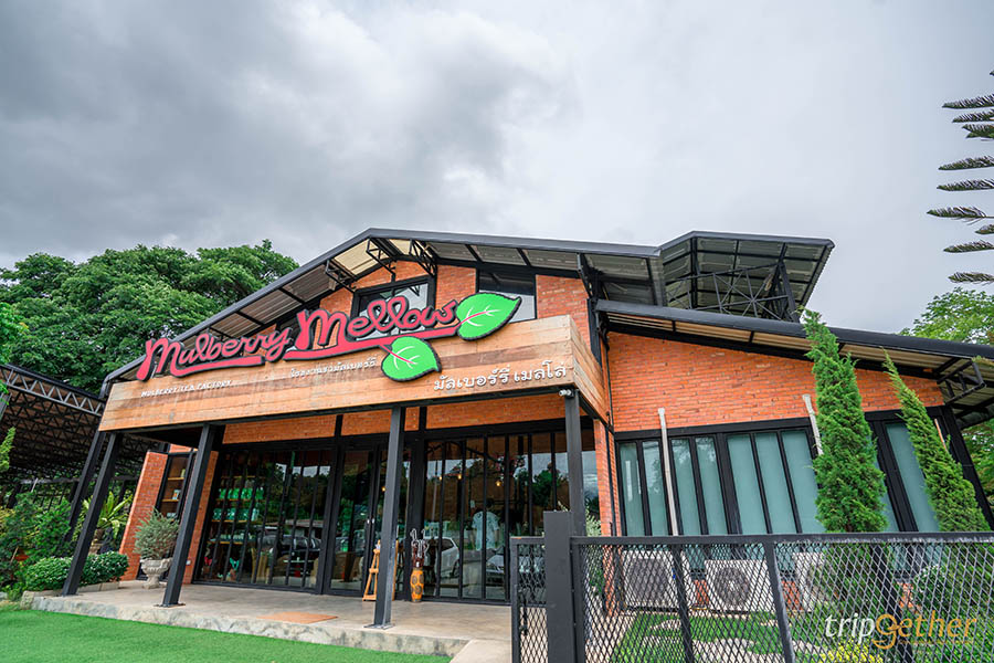 5 คาเฟ่กาญจนบุรี ริมน้ำ เหมาะกับการชวนเพื่อนมานั่งชิลล์ 