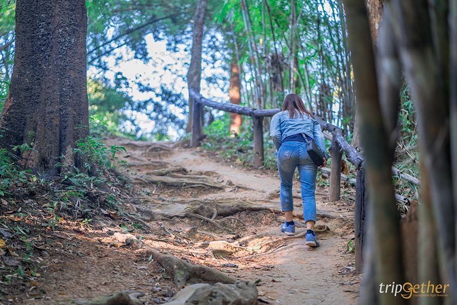 5 จุดเช็คอินน้ำใส บรรยากาศฟิน คนรักธรรมชาติต้องมา
