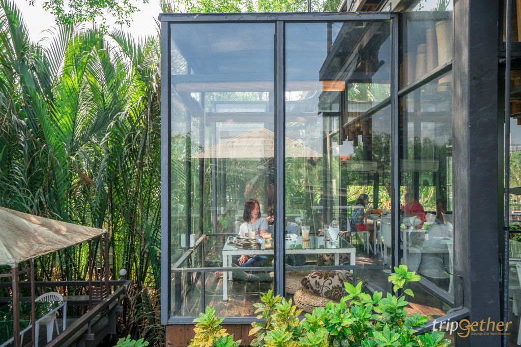 7 คาเฟ่บางกระเจ้าน่านั่ง ท่ามกลางธรรมชาติ