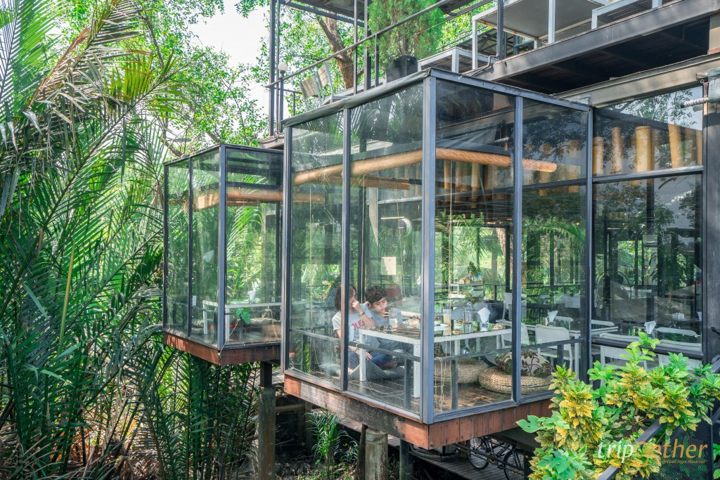 7 คาเฟ่บางกระเจ้าน่านั่ง ท่ามกลางธรรมชาติ