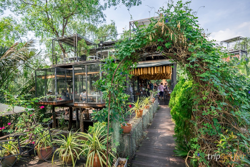 7 คาเฟ่บางกระเจ้าน่านั่ง ท่ามกลางธรรมชาติ