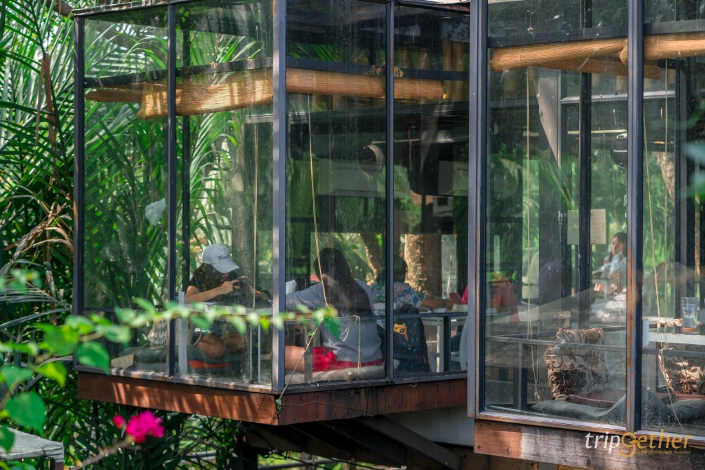 7 คาเฟ่บางกระเจ้าน่านั่ง ท่ามกลางธรรมชาติ