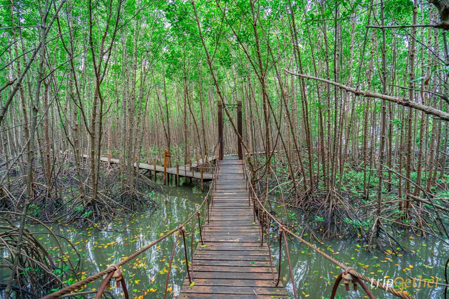 ทริปเลียบทะเลจันท์ 2 วัน 1 คืน "ให้เส้นทางพาเราไป"