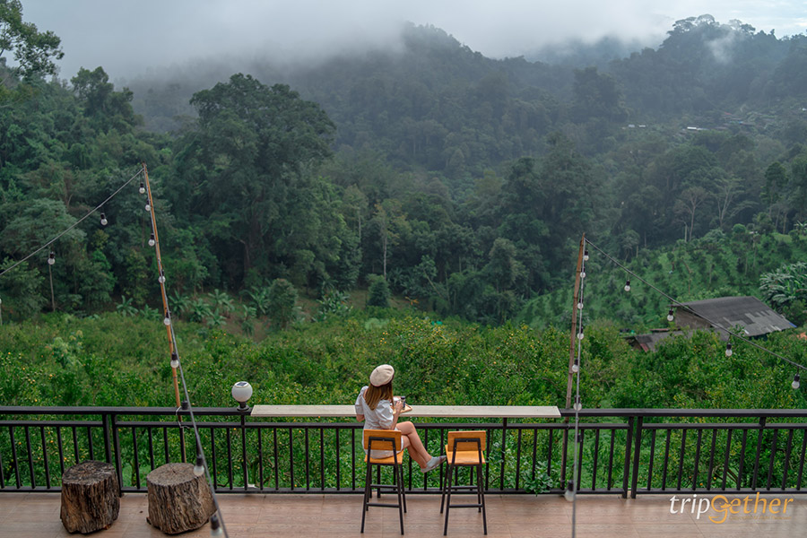 5 จุดเช็คอินไร่ส้มเชียงใหม่ เก็บส้มกินได้ ถ่ายรูปปัง!!