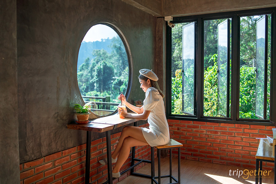 5 จุดเช็คอินไร่ส้มเชียงใหม่ เก็บส้มกินได้ ถ่ายรูปปัง!!