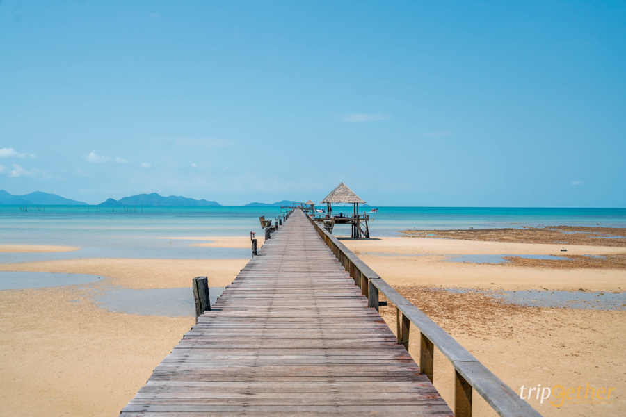 11 สะพานสวยเหมือนเดินข้ามทางฝัน ที่ต้องผ่านมาเช็คอิน 