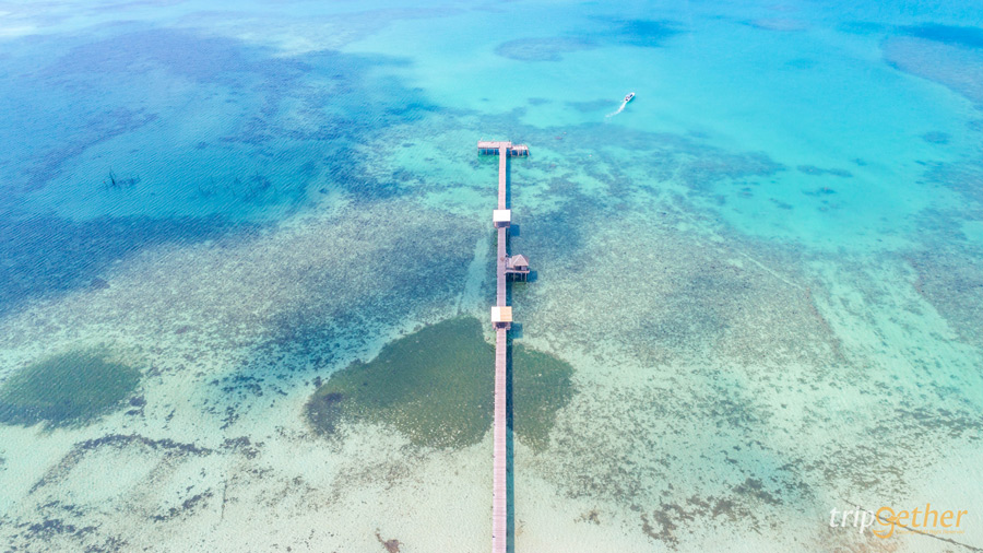 11 สะพานสวยเหมือนเดินข้ามทางฝัน ที่ต้องผ่านมาเช็คอิน 