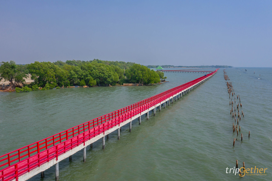  11 สะพานสวยเหมือนเดินข้ามทางฝัน ที่ต้องผ่านมาเช็คอิน 