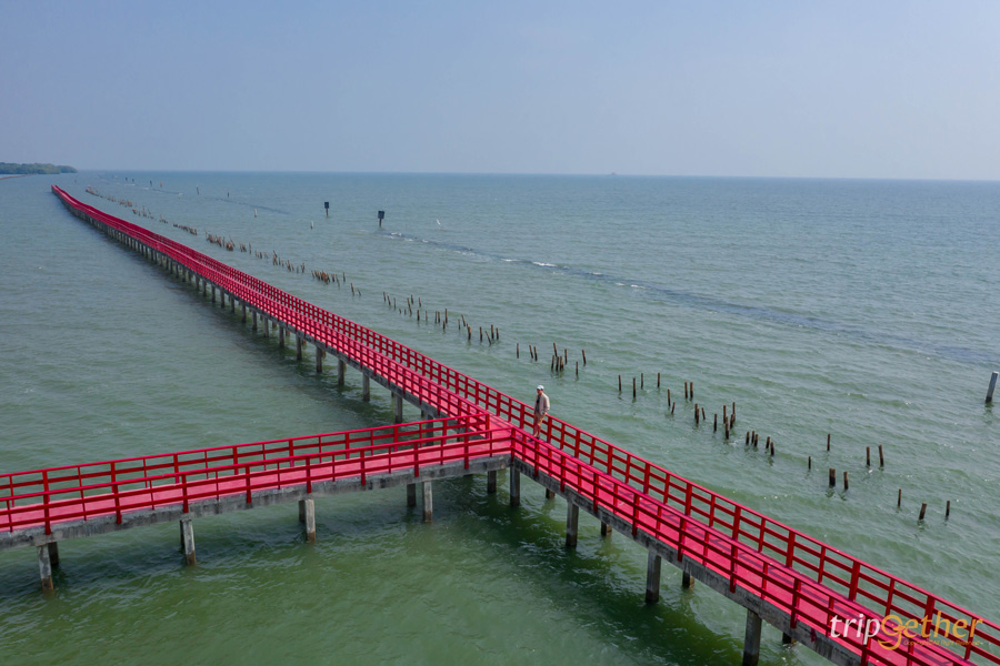  11 สะพานสวยเหมือนเดินข้ามทางฝัน ที่ต้องผ่านมาเช็คอิน 