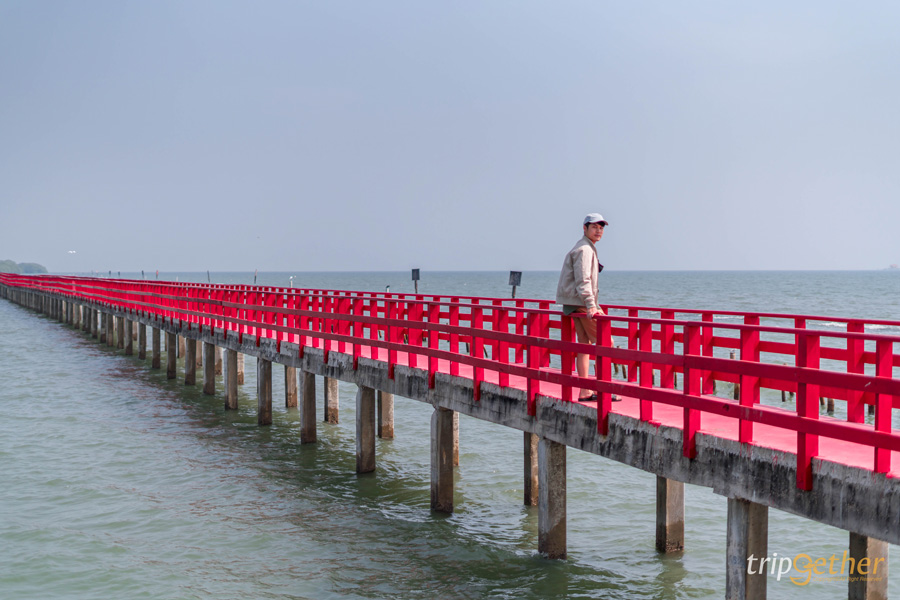  11 สะพานสวยเหมือนเดินข้ามทางฝัน ที่ต้องผ่านมาเช็คอิน 