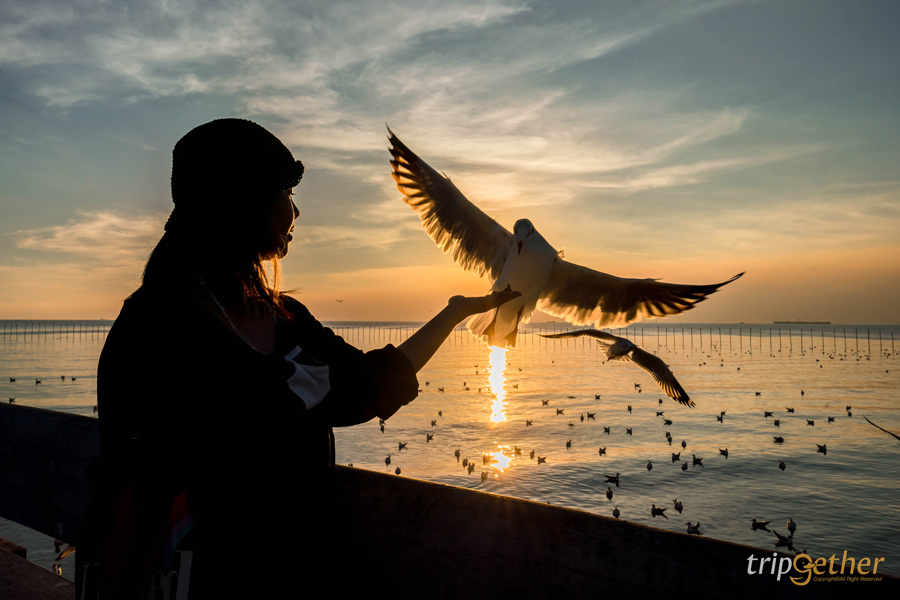 11 สะพานสวยเหมือนเดินข้ามทางฝัน ที่ต้องผ่านมาเช็คอิน 
