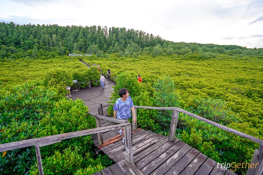 5 ที่เที่ยวสายธรรมชาติ น่าหนีไปฮีลใจใกล้กรุงเทพฯ