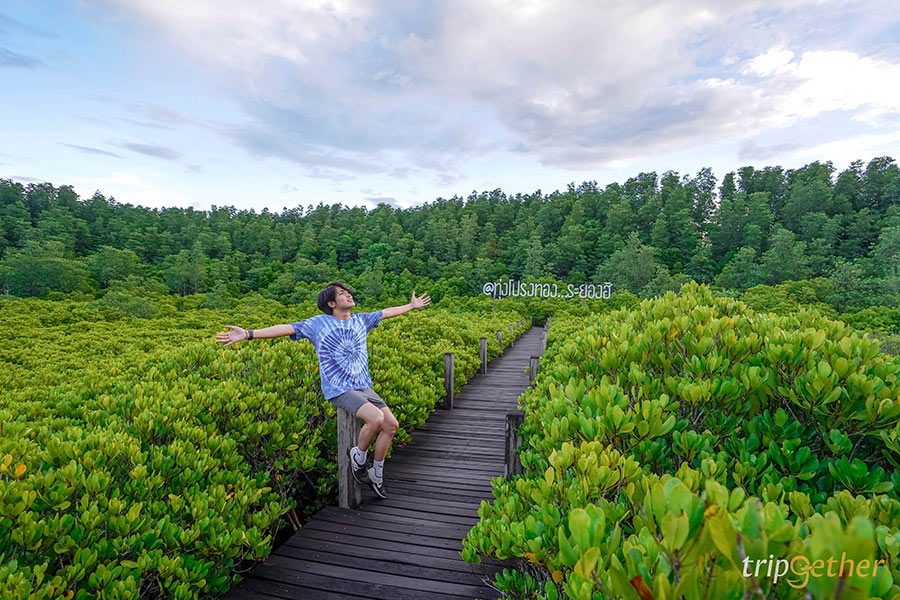 5 ที่เที่ยวสายธรรมชาติ น่าหนีไปฮีลใจใกล้กรุงเทพฯ