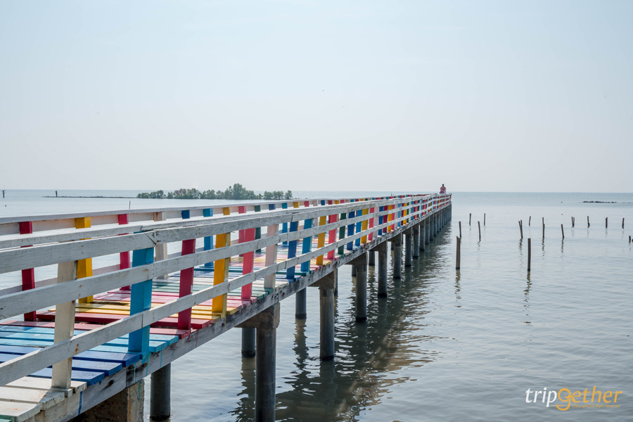  11 สะพานสวยเหมือนเดินข้ามทางฝัน ที่ต้องผ่านมาเช็คอิน 