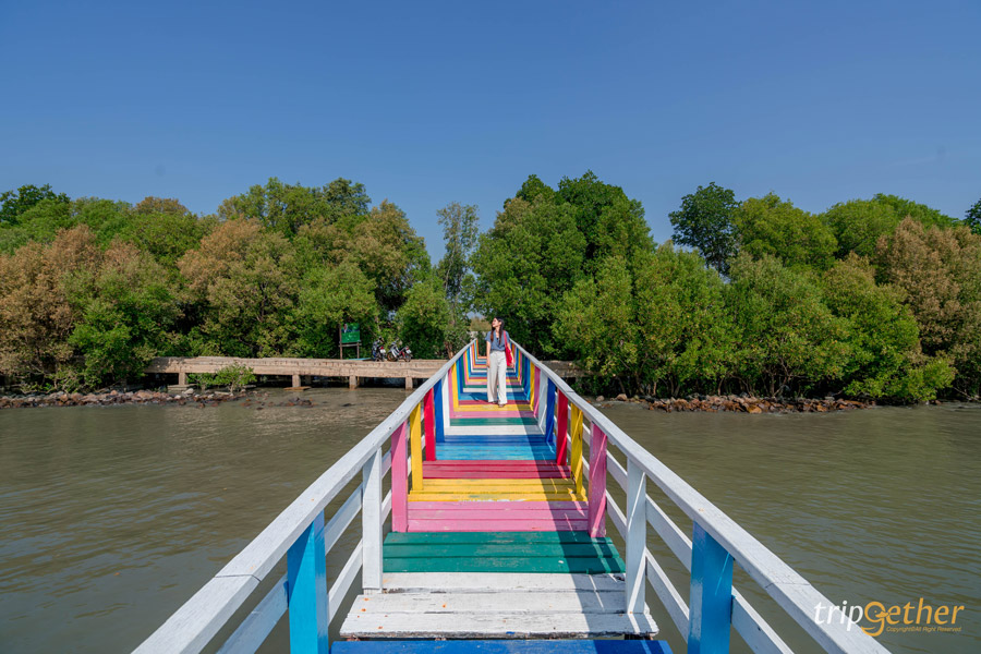  11 สะพานสวยเหมือนเดินข้ามทางฝัน ที่ต้องผ่านมาเช็คอิน 