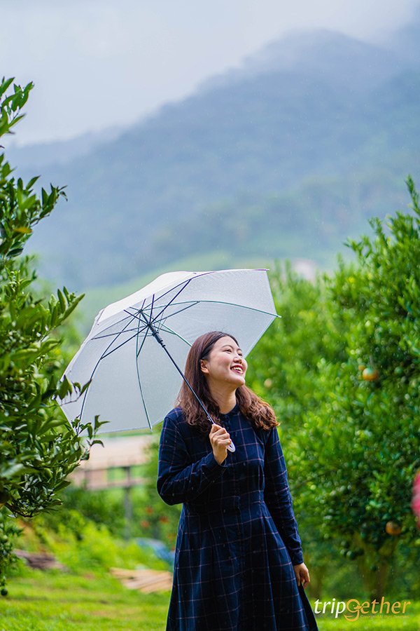 5 จุดเช็คอินไร่ส้มเชียงใหม่ เก็บส้มกินได้ ถ่ายรูปปัง!!