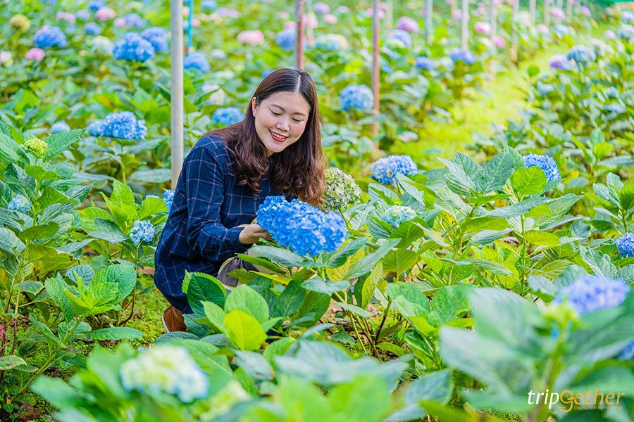 5 จุดเช็คอินไร่ส้มเชียงใหม่ เก็บส้มกินได้ ถ่ายรูปปัง!!