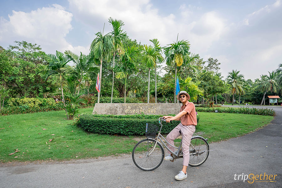 5 ที่เที่ยวสายธรรมชาติ น่าหนีไปฮีลใจใกล้กรุงเทพฯ