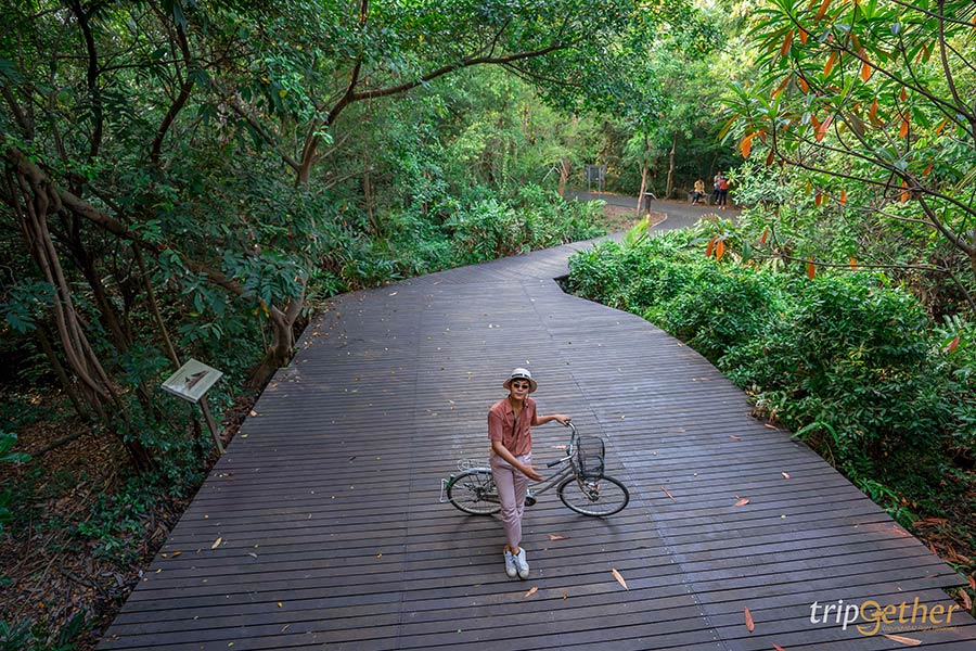 5 ที่เที่ยวสายธรรมชาติ น่าหนีไปฮีลใจใกล้กรุงเทพฯ