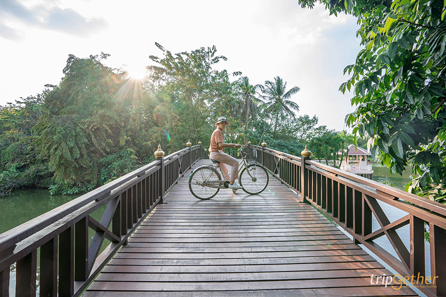 5 ที่เที่ยวสายธรรมชาติ น่าหนีไปฮีลใจใกล้กรุงเทพฯ