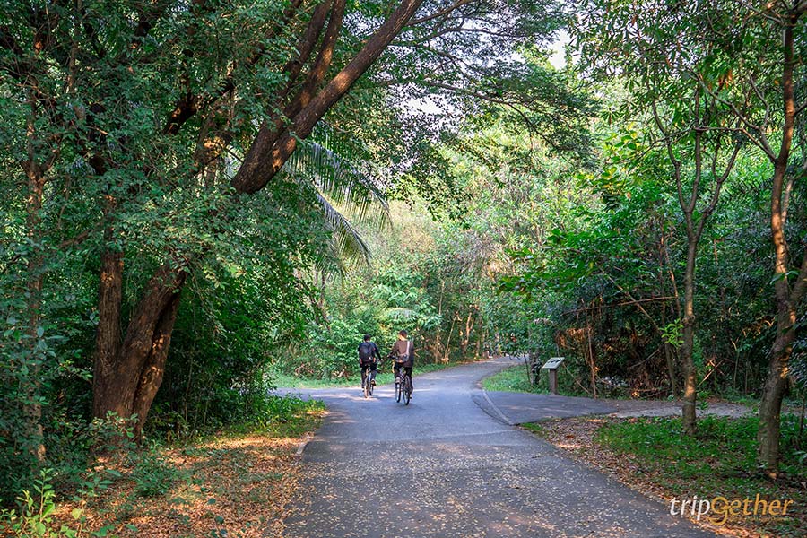 5 ที่เที่ยวสายธรรมชาติ น่าหนีไปฮีลใจใกล้กรุงเทพฯ