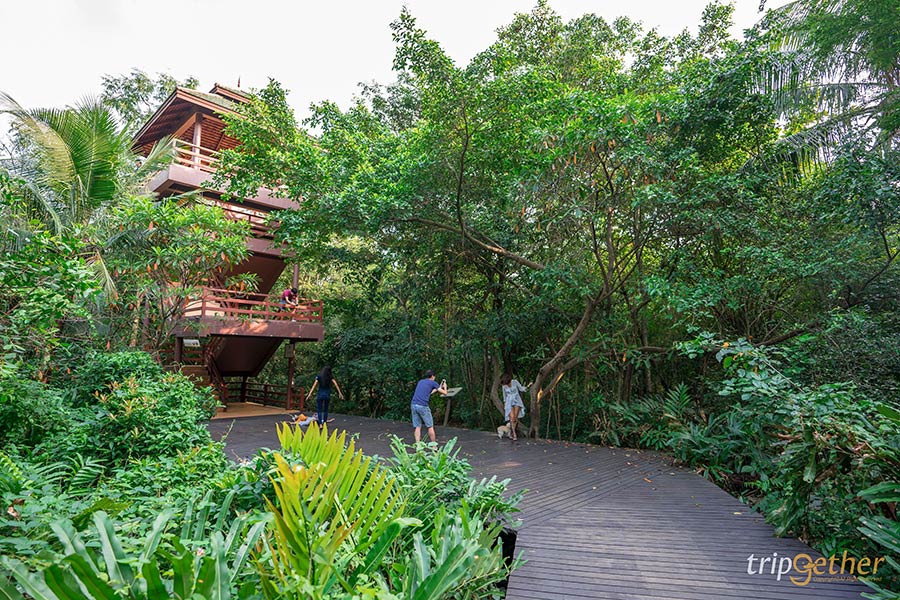 5 ที่เที่ยวสายธรรมชาติ น่าหนีไปฮีลใจใกล้กรุงเทพฯ