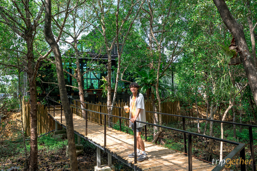 9 คาเฟ่ระยอง กลางธรรมชาติ เอาใจสายนั่งชิลล์