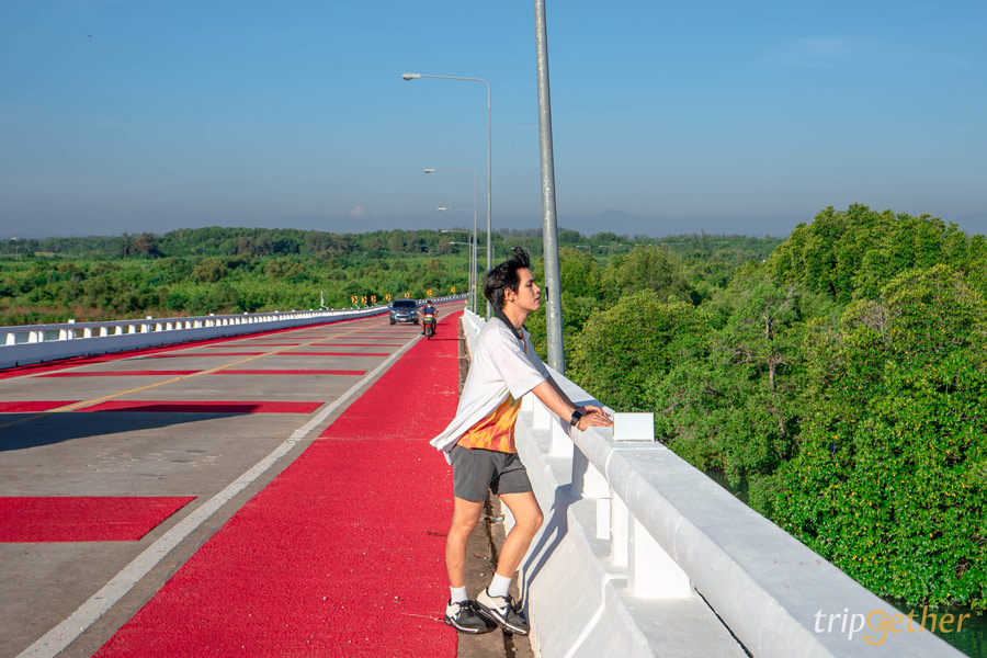 11 สะพานสวยเหมือนเดินข้ามทางฝัน ที่ต้องผ่านมาเช็คอิน 