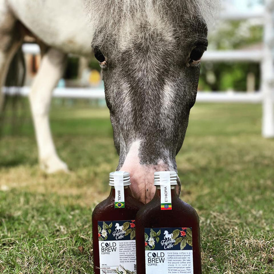 5 คาเฟ่สวย บรรยากาศดี มีกิจกรรมขี่ม้า