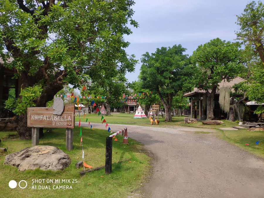 5 คาเฟ่สวย บรรยากาศดี มีกิจกรรมขี่ม้า