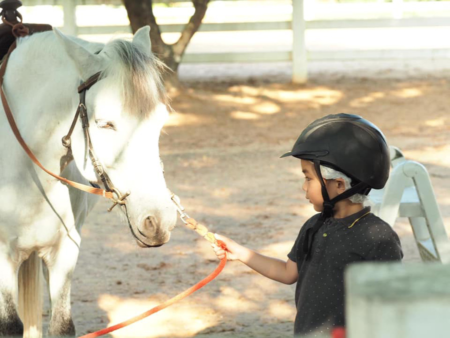 5 คาเฟ่สวย บรรยากาศดี มีกิจกรรมขี่ม้า
