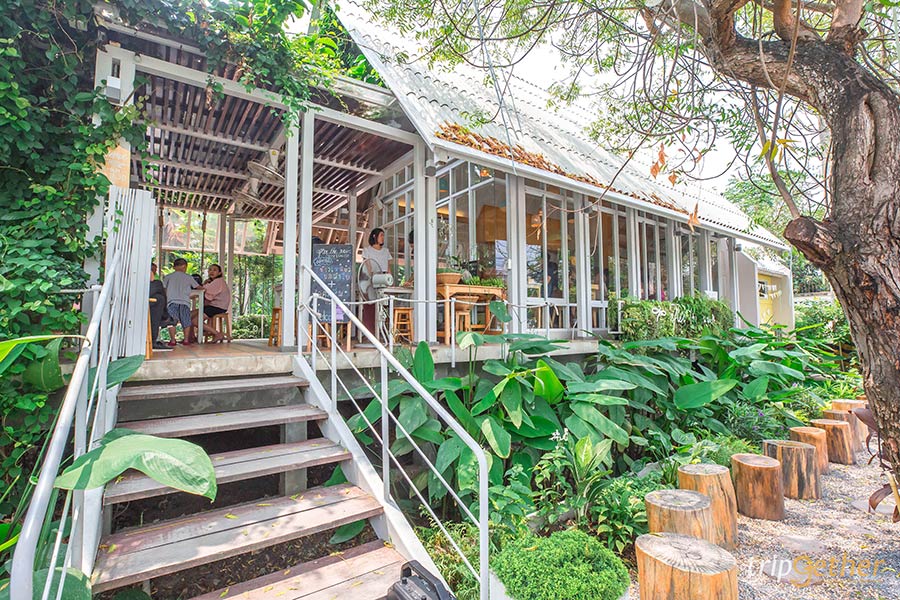 7 คาเฟ่สวนมะพร้าว กินลมชมวิว ใกล้เมืองกรุง