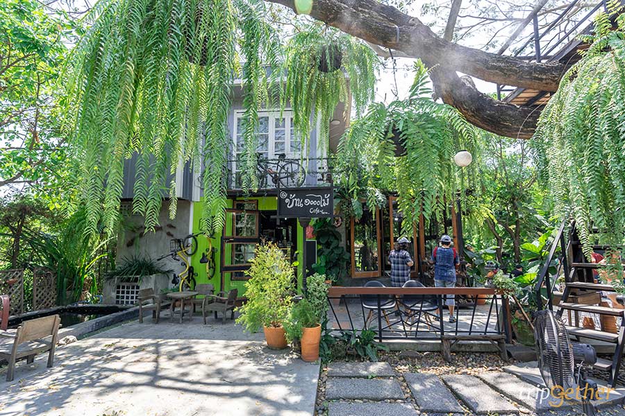 5 ฟาร์มคาเฟ่ สูดกลิ่นอายธรรมชาติ กิจกรรมเน้นๆ แบบฉบับฟาร์มเมอร์