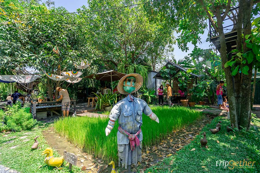 5 ฟาร์มคาเฟ่ สูดกลิ่นอายธรรมชาติ กิจกรรมเน้นๆ แบบฉบับฟาร์มเมอร์