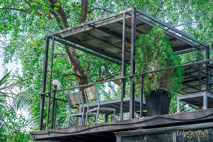 6 คาเฟ่กลางสวนสวย พบกับความกรีนที่กรุงเทพฯและปริมณฑล