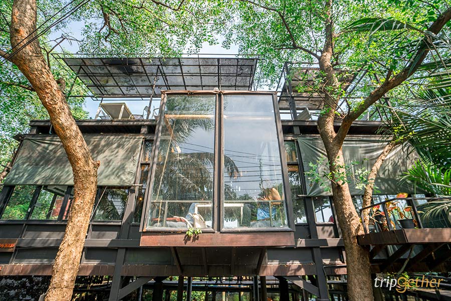 6 คาเฟ่กลางสวนสวย พบกับความกรีนที่กรุงเทพฯและปริมณฑล