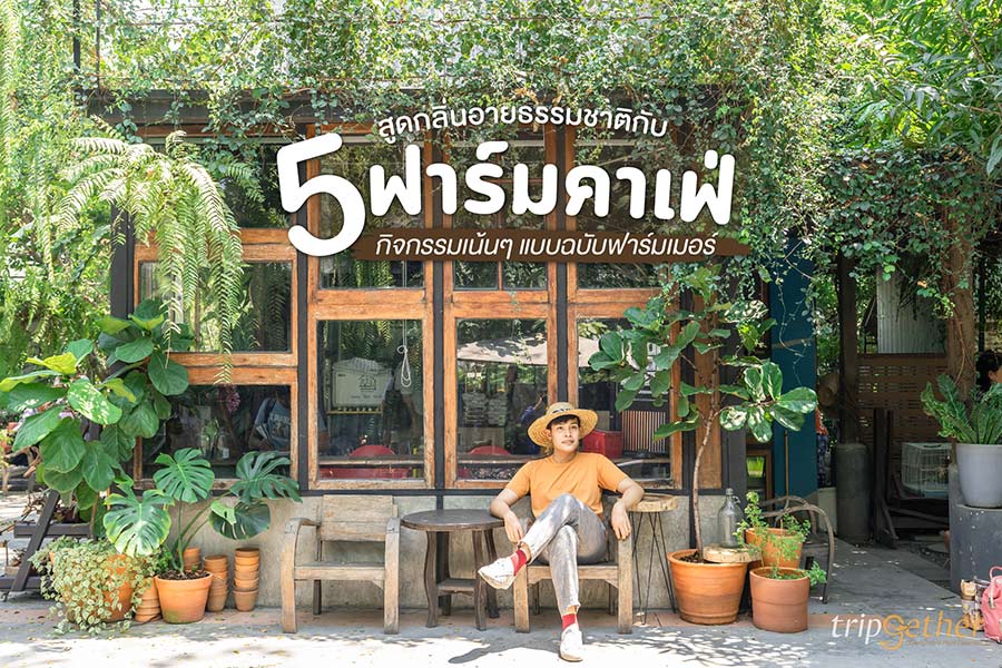 5 ฟาร์มคาเฟ่ สูดกลิ่นอายธรรมชาติ กิจกรรมเน้นๆ แบบฉบับฟาร์มเมอร์