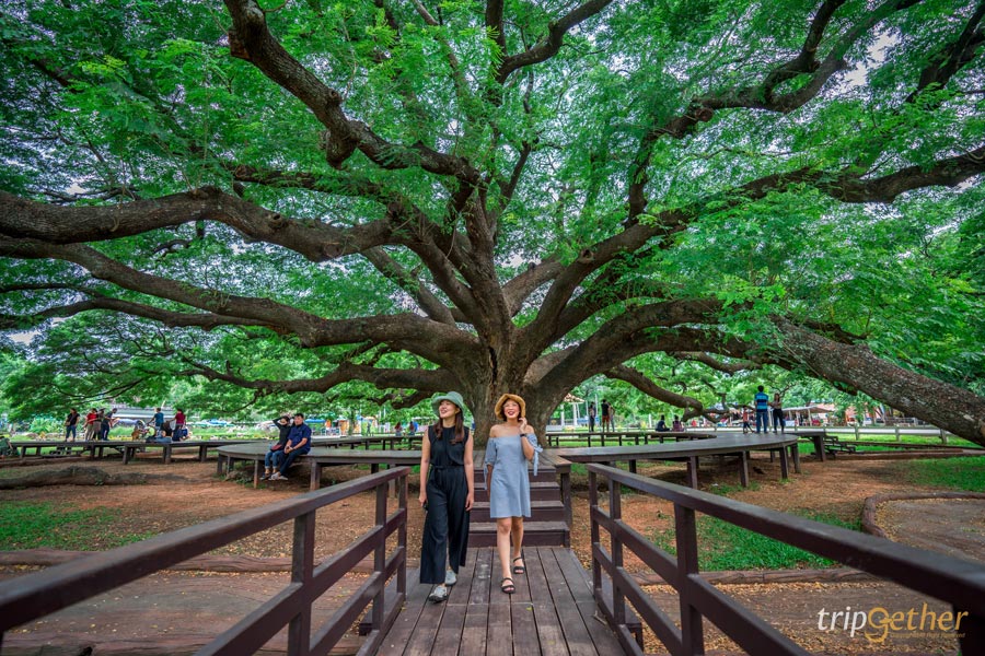 8 จังหวัดนำร่องท่องเที่ยว น่าไปนอนพัก เช็คอิน กินของอร่อย