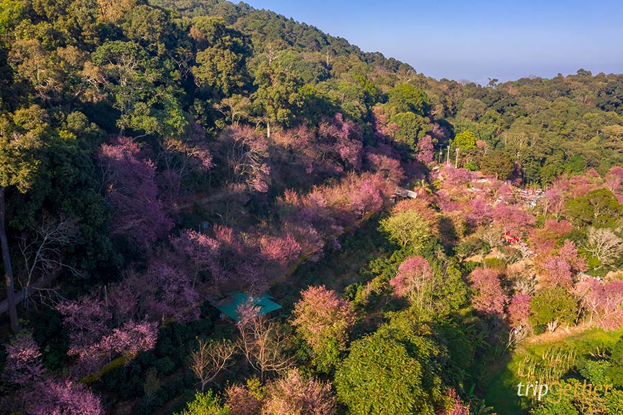 5 ที่เที่ยวฟีลต่างประเทศ ธรรมชาติน่าทึ่งที่สายกรีนไม่ควรพลาด