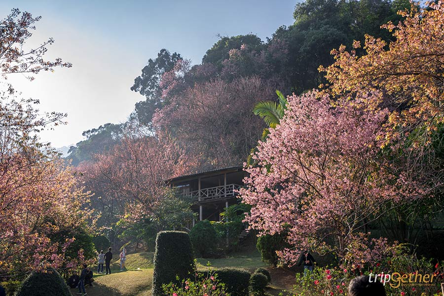 5 ที่เที่ยวฟีลต่างประเทศ ธรรมชาติน่าทึ่งที่สายกรีนไม่ควรพลาด