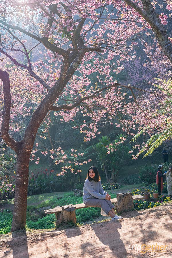 5 ที่เที่ยวฟีลต่างประเทศ ธรรมชาติน่าทึ่งที่สายกรีนไม่ควรพลาด