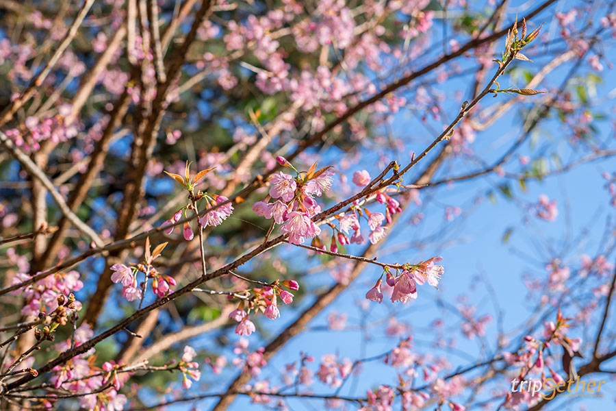 5 ที่เที่ยวฟีลต่างประเทศ ธรรมชาติน่าทึ่งที่สายกรีนไม่ควรพลาด