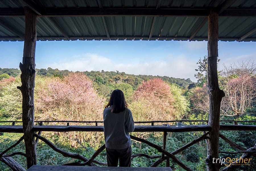 5 ที่เที่ยวฟีลต่างประเทศ ธรรมชาติน่าทึ่งที่สายกรีนไม่ควรพลาด