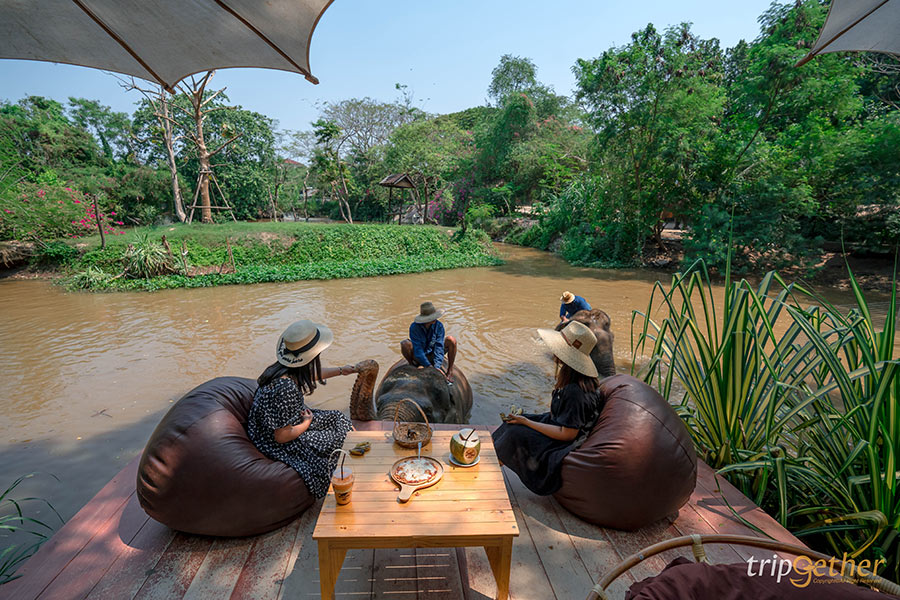 8 คาเฟ่ริมน้ำ ใกล้กรุงเทพฯ เสพบรรยากาศสุดชิลล์ ฟังเสียงน้ำสบายๆ