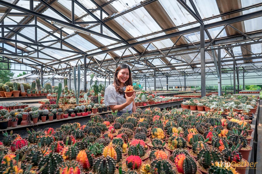 8 จังหวัดนำร่องท่องเที่ยว น่าไปนอนพัก เช็คอิน กินของอร่อย