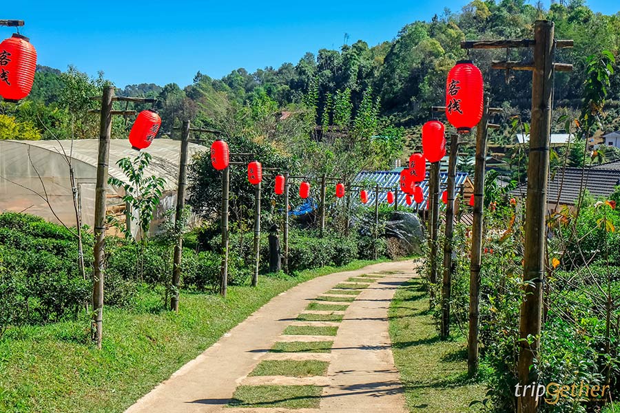 5 ที่เที่ยวฟีลต่างประเทศ ธรรมชาติน่าทึ่งที่สายกรีนไม่ควรพลาด