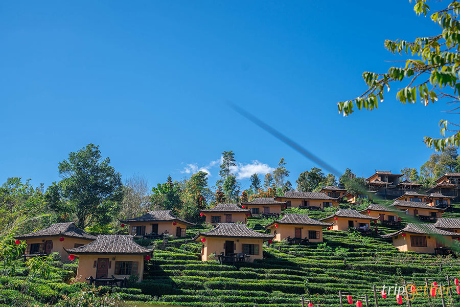 5 ที่เที่ยวฟีลต่างประเทศ ธรรมชาติน่าทึ่งที่สายกรีนไม่ควรพลาด