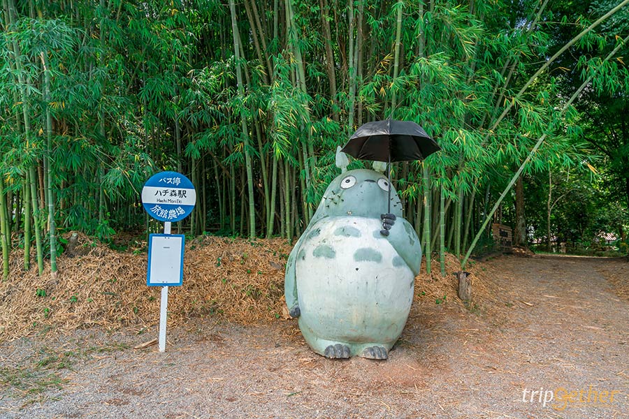 8 จุดเช็คอินสไตล์ญี่ปุ่น - เกาหลี ไม่ต้องไปไกลถึงเมืองนอกก็เที่ยวได้