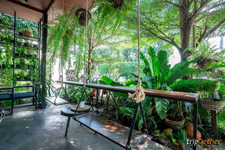 6 คาเฟ่กลางสวนสวย พบกับความกรีนที่กรุงเทพฯและปริมณฑล